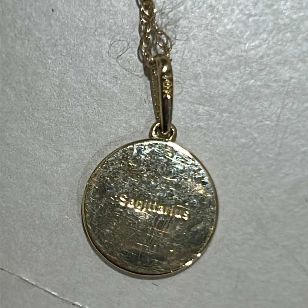 Stone & Strand Zodiac Coin Pendant Necklace Nwot — image 5 of 8
